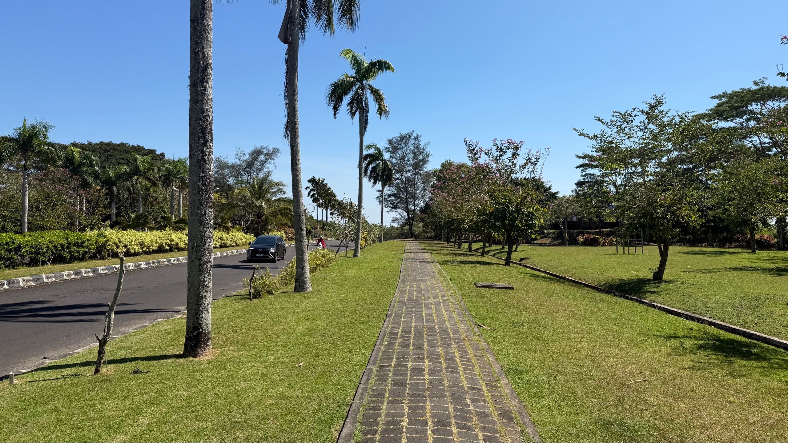 A wide, shaded pavement running through the resort under the palms.